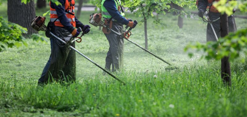 Contact About Weed Whacking Pros