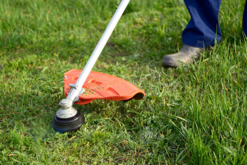 Weed Whacking Pros