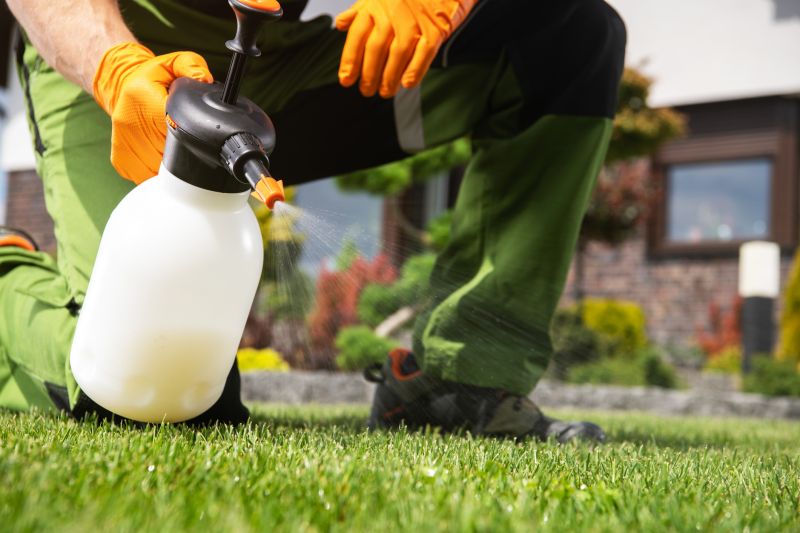 Weed Whacking Pros