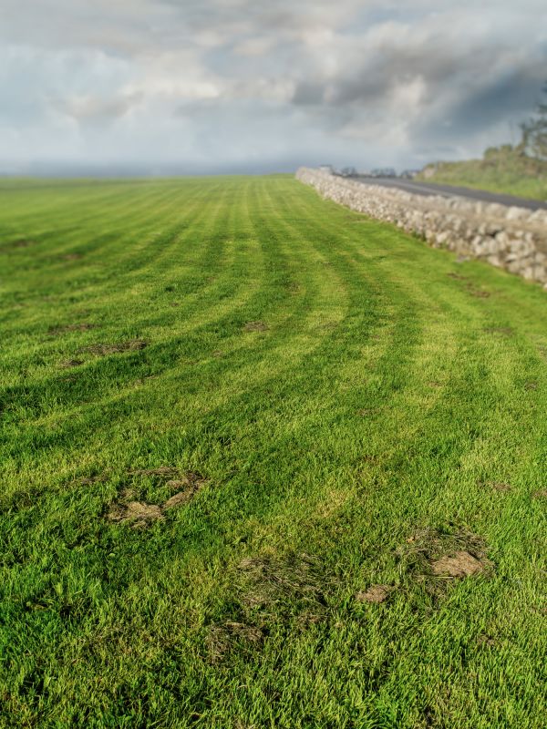 Acreage Mowing Service in Calvert County, MD