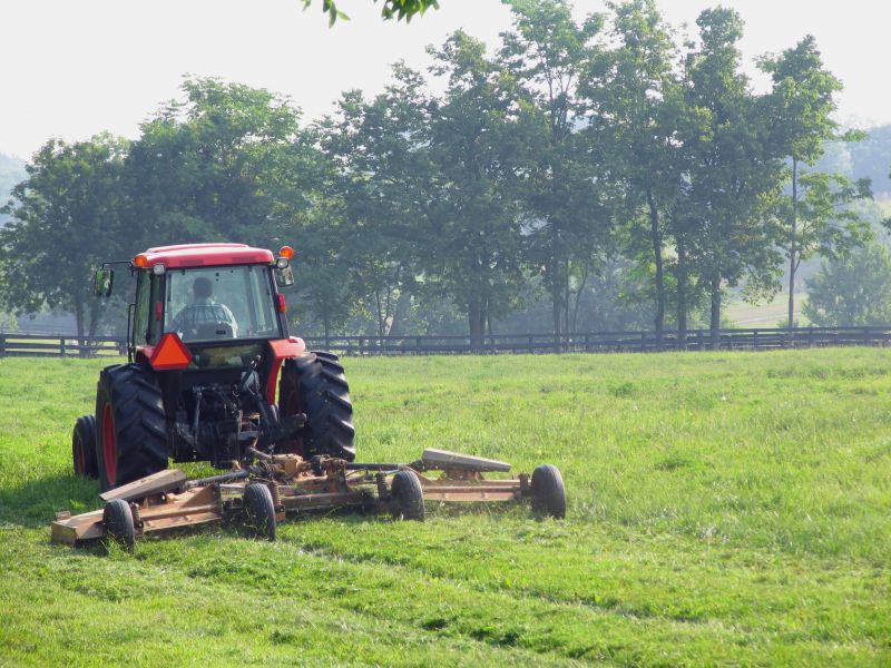 Bush Hog Mowing in Waldorf, MD