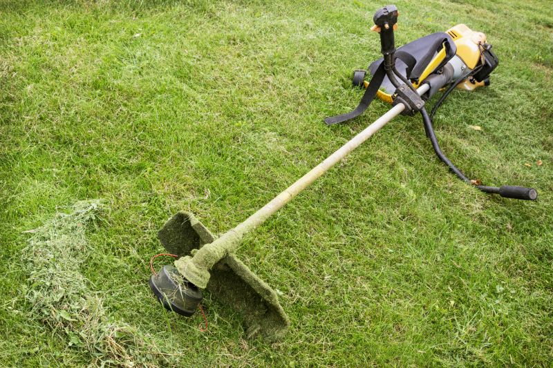 Cost of Weed Whacking — Cost of Weed Whacking