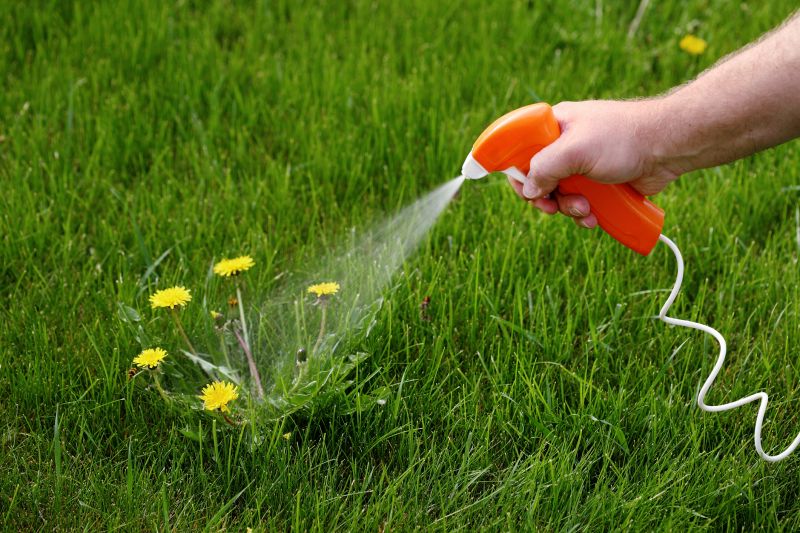 Cost of Weed Whacking — Cost of Weed Whacking