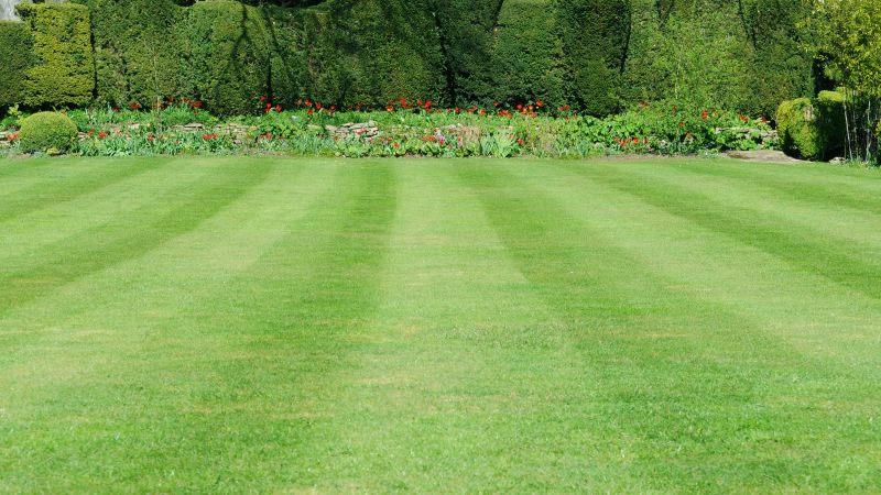 Lawn Mowing Near Flower Beds
