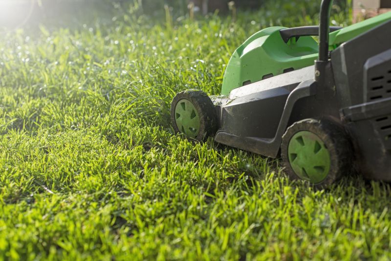 Lawn Mowing on a Sunny Day