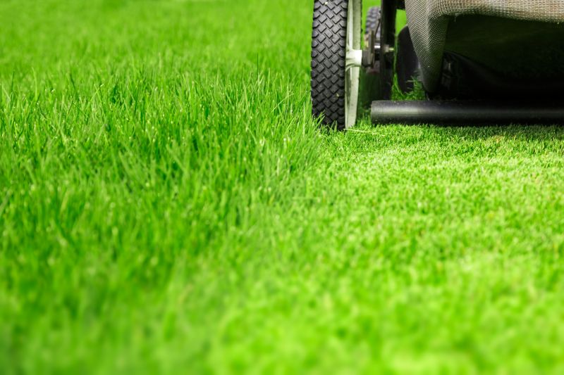 Close-up of Grass Cutting